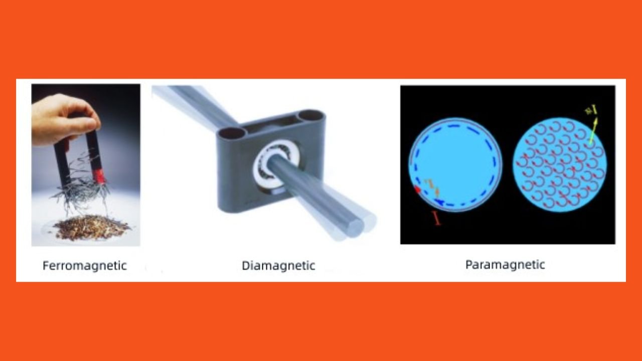 Types of Magnetism in Metals